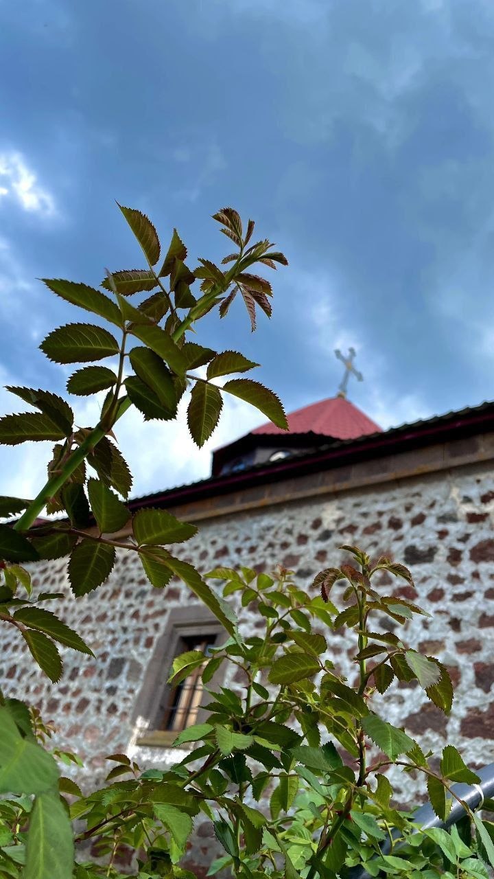 Դիլիֆ - գյուղի տեսարան 17