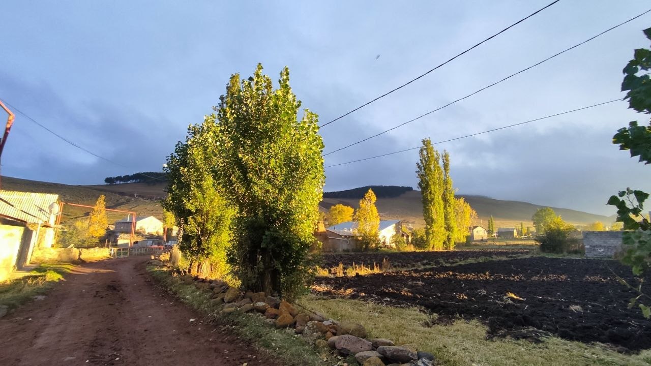 Դիլիֆ - գյուղի տեսարան 23