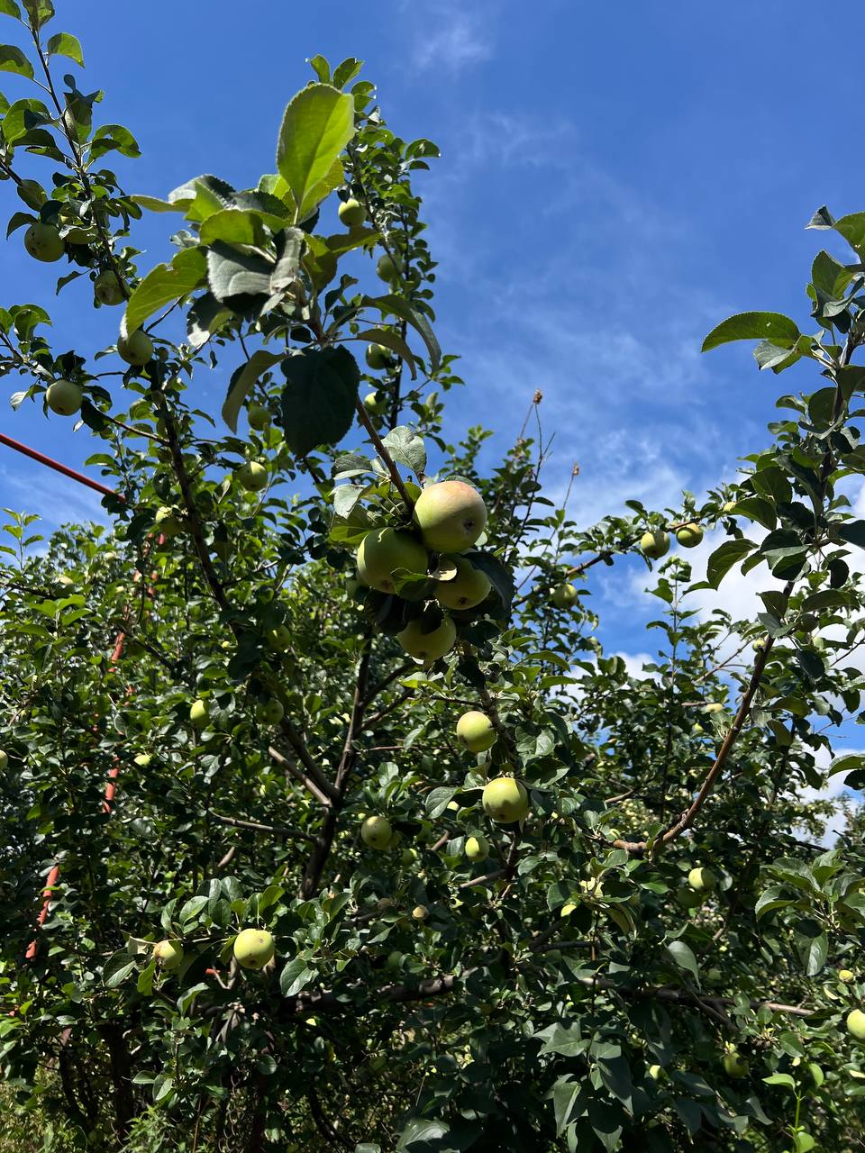 Դիլիֆ - գյուղի տեսարան 8