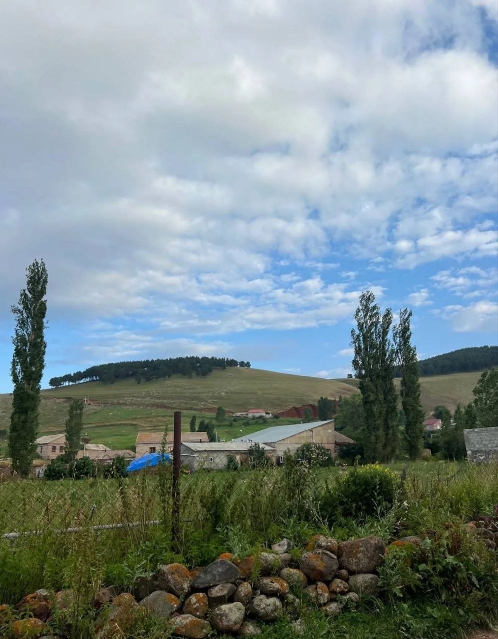 Բնություն 1